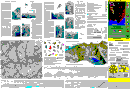 miniaturka rewersu mapy Orla Per